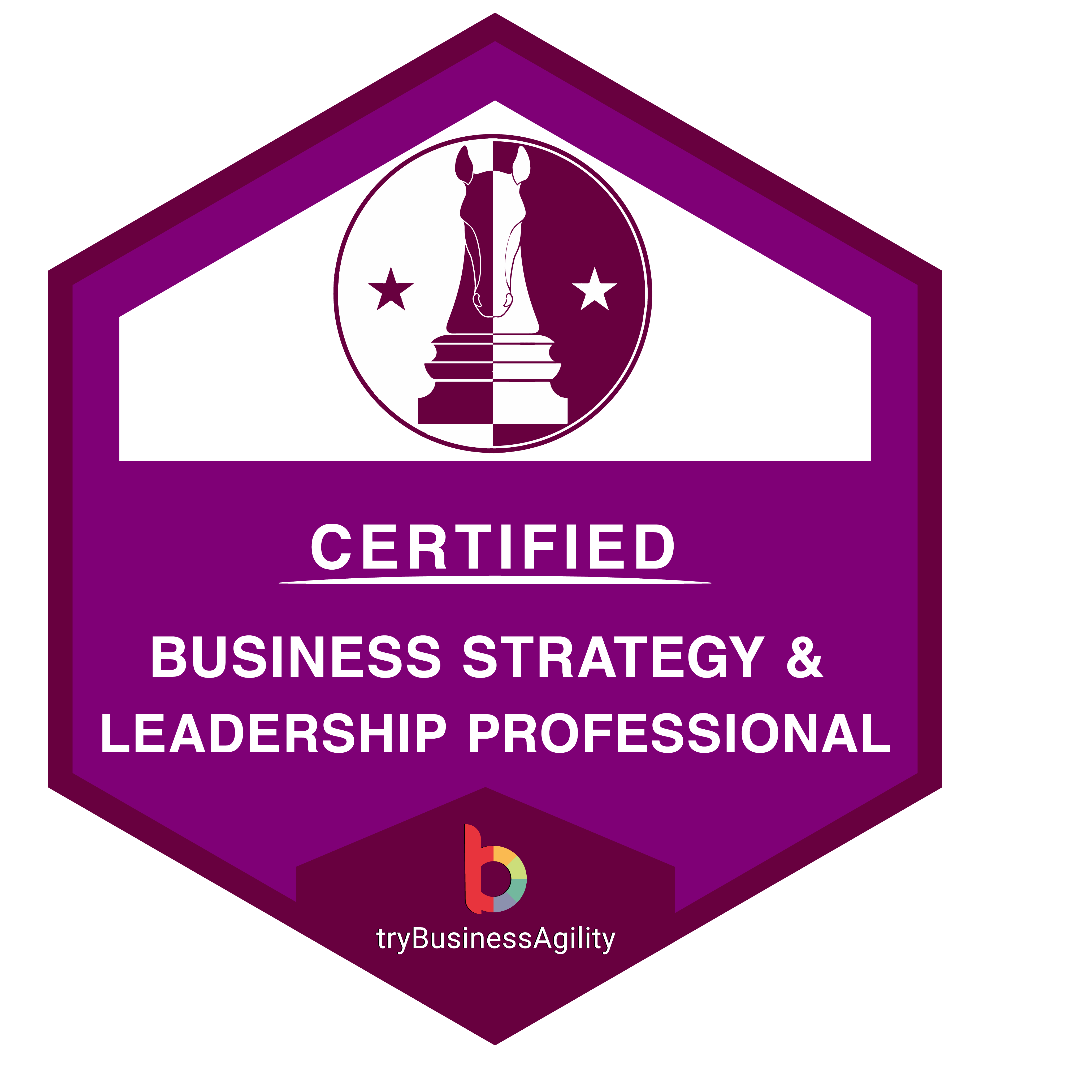 Certified Digital Transformation- Executive Education| tryBusinessAgility